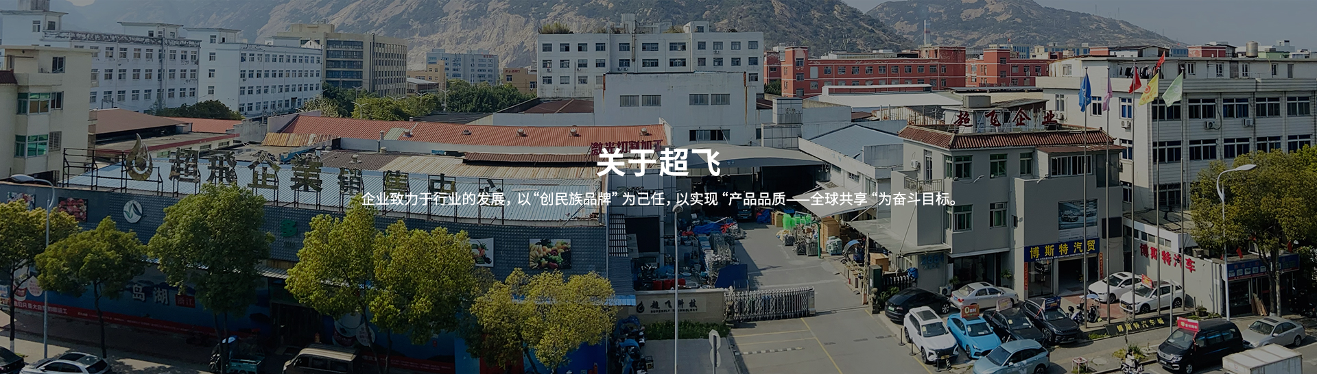 衛(wèi)生級(jí)止回閥，快裝閥門廠家